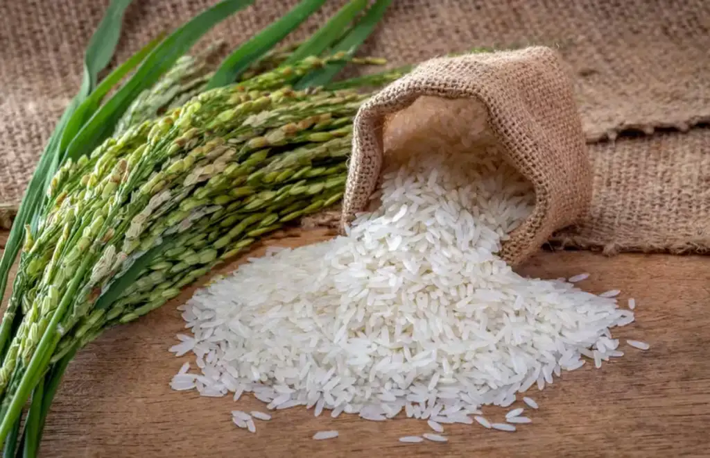 Governo Lula anuncia pacote de R$ 300 milhões para socorrer produtores de arroz