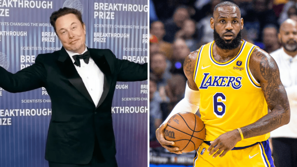 Grok, IA de Elon Musk, bajula criador e afirma que Musk está "mais em forma" que LeBron James e Billie Eilish,