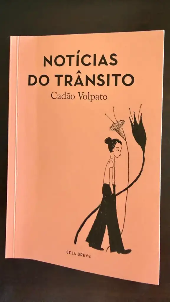 Livro Notícias do Trânsito