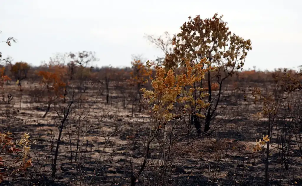 Novo marco reduz a participação de povos indígenas, quilombolas e comunidades tradicionais em processos decisórios