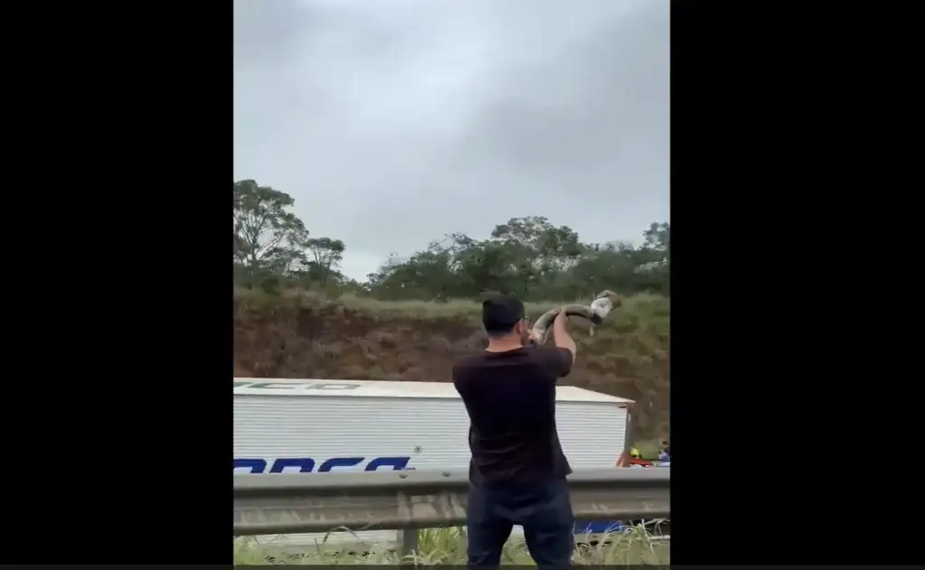 Brincadeira ocorreu quando os desocupados da caminhada passavam perto da cidade de São Bartolomeu (GO)