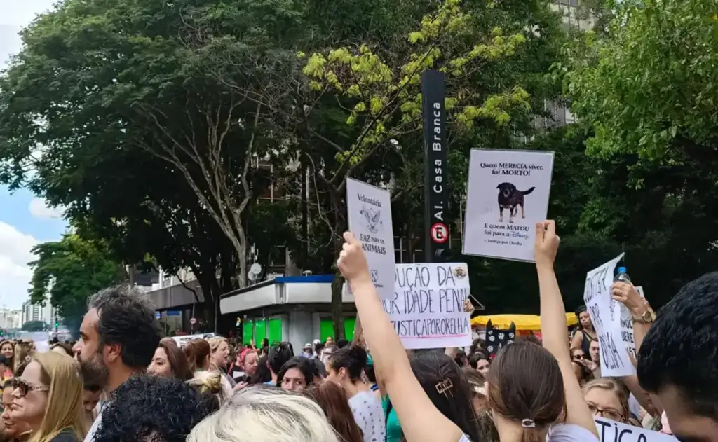 Em protestos em várias capitais, no domingo (01), manifestantes pediram que investigação seja feita pela Polícia Federal