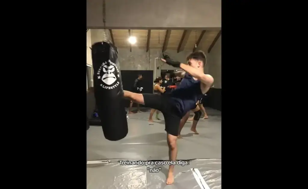 Deputada federal Duda Salabert (PDT-MG) denunciou o caso ao Ministério Público, criticando a falta de regulamentação das redes