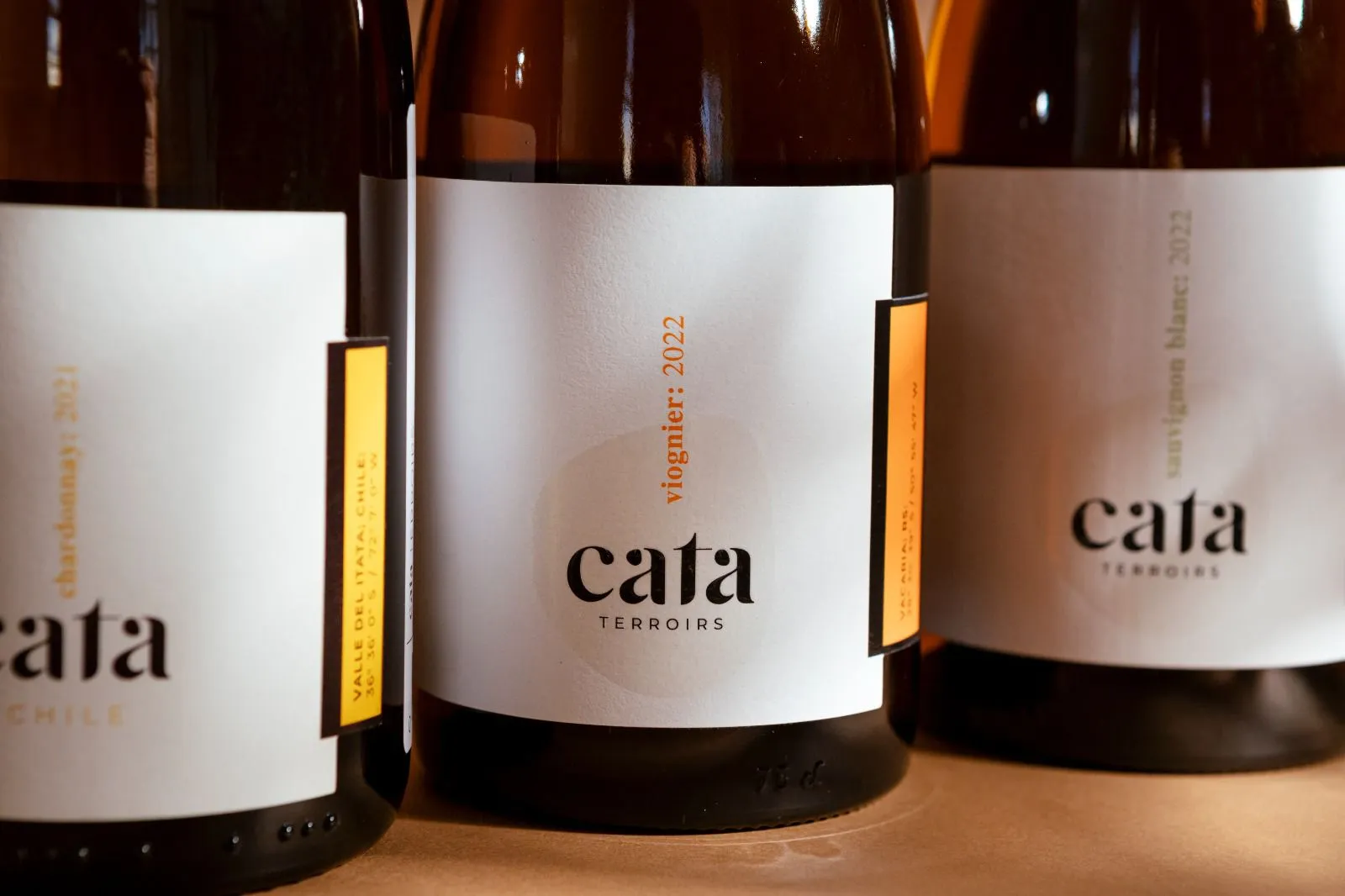 Verdades acerca do vinho