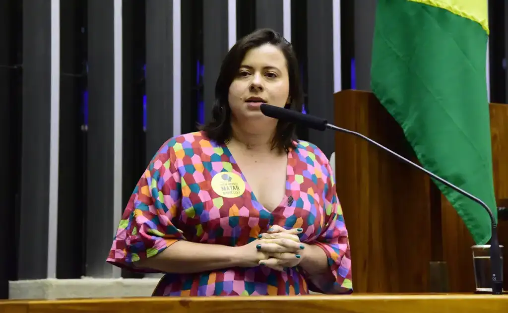 Deputada diz que bancada feminina vai continuar mobilizando a população para pressionar pela votação da matéria o mais rápido possível