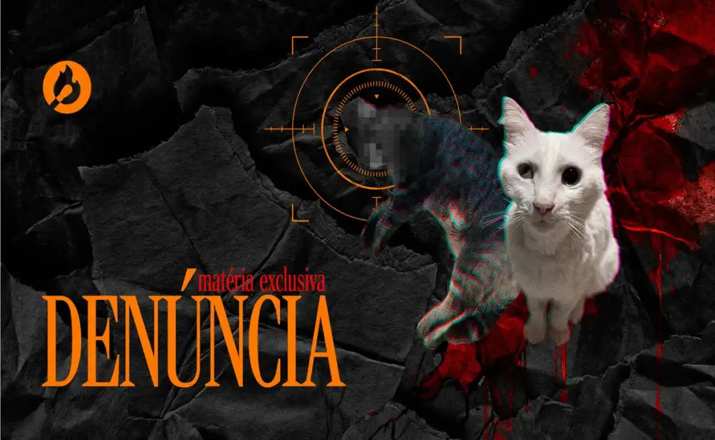 Família da Grande Curitiba vive rotina de terror com extermínio de gatos