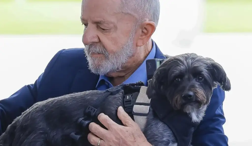 Governo Lula trava repasse de R$ 6 milhões a ONG suspeita por castrações falsas