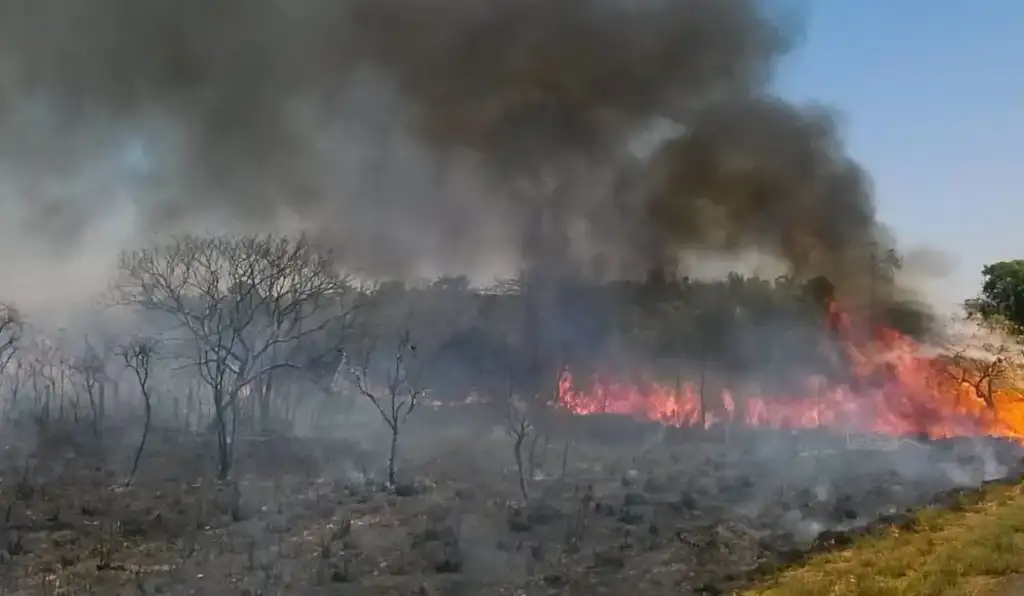 Brasil já registra quase 30 mil focos de incêndio em 2026