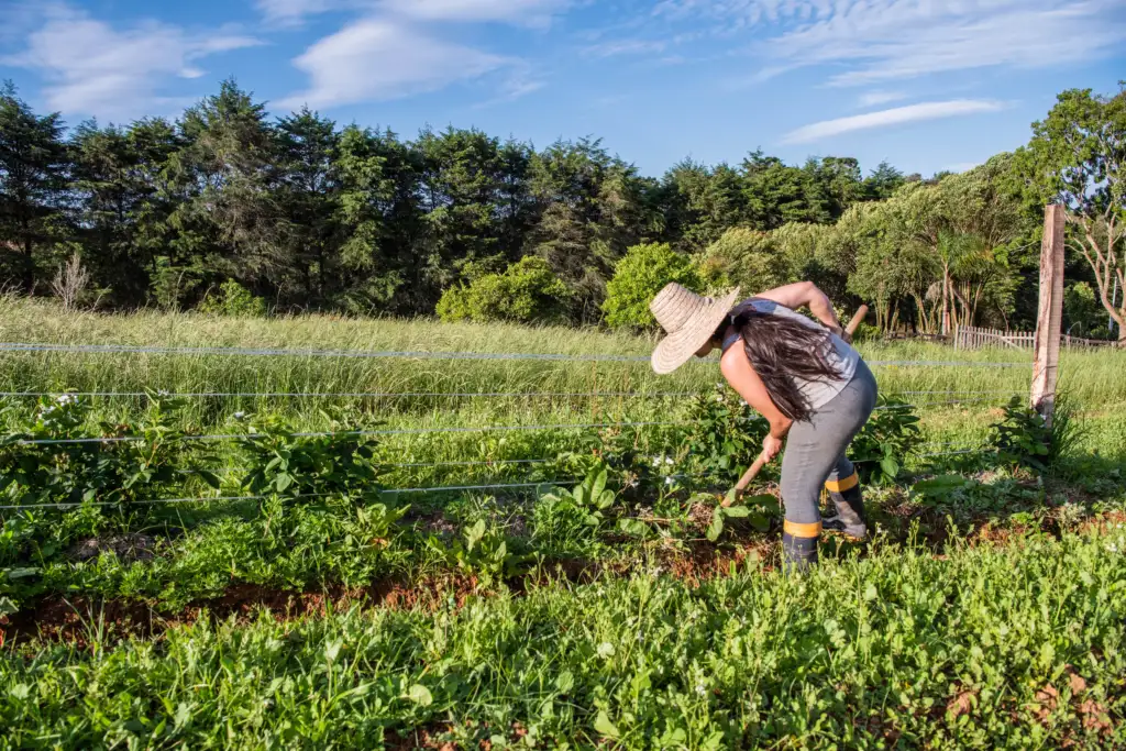 A 40 minutos de Curitiba, empreendimentos praticam o turismo responsável e a agricultura sustentável como ferramentas de segurança hídrica
