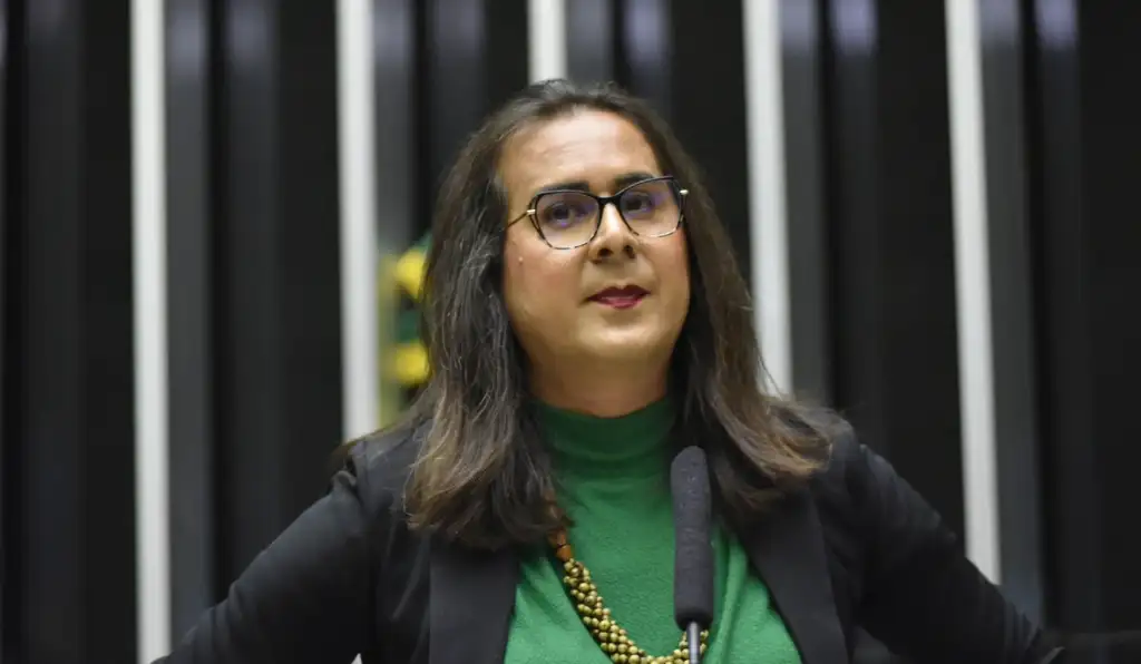 Duda Salabert relata tentativa de feminicídio durante fiscalização de mineração ilegal em MG