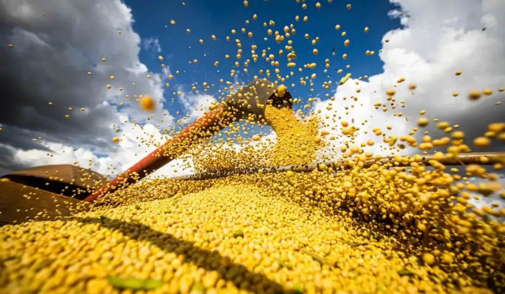 Agricultura brasileira dispara e alcança maior valor desde o Plano Real