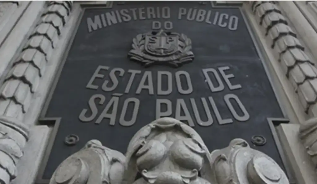 Mercado clandestino de sangue de gatos vira alvo do Ministério Público em SP