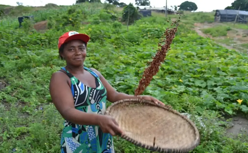 Mulheres lideram 24% da agricultura familiar no Nordeste