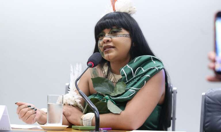A Articulação dos Povos Indígenas do Brasil (Apib) relatou uma escalada de violência contra comunidades Guarani Kaiowá e Terena no estado. Entre os episódios denunciados estão assassinatos na cidade de Naviraí, atropelamentos em Coronel Sapucaia, ameaças de morte e manifestações racistas .