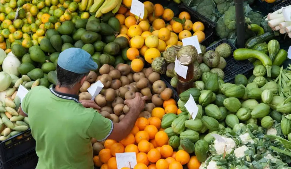 Brasil abastece o mundo, mas depende de fora para 85% dos fertilizantes