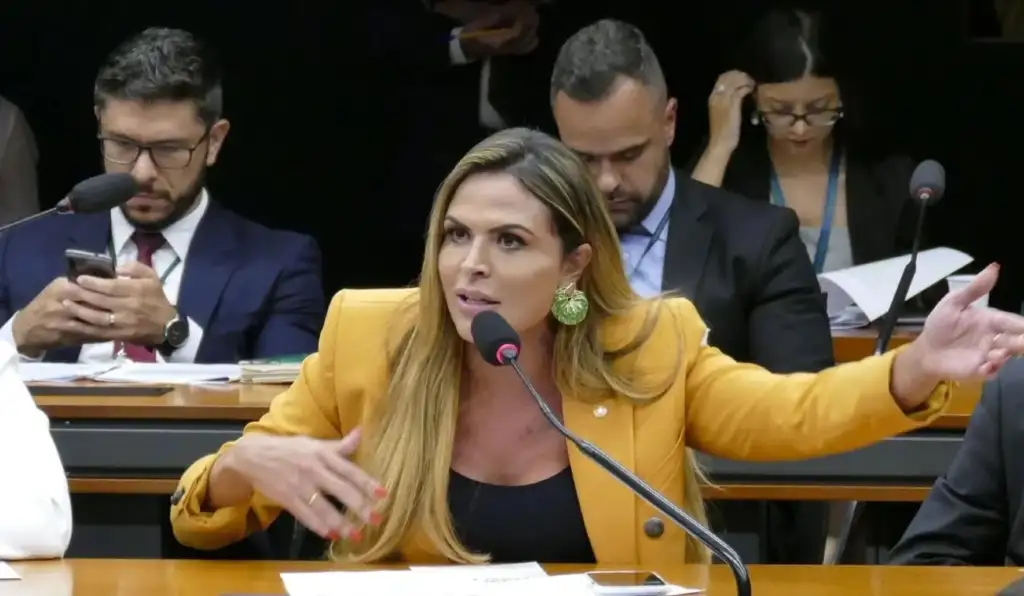 Estudo identifica divergências raciais em 1.331 candidaturas